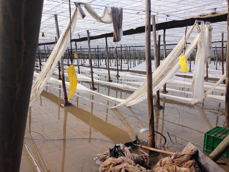 Las lluvias dejan en Las Norias de Daza más de una quincena de hectáreas anegadas