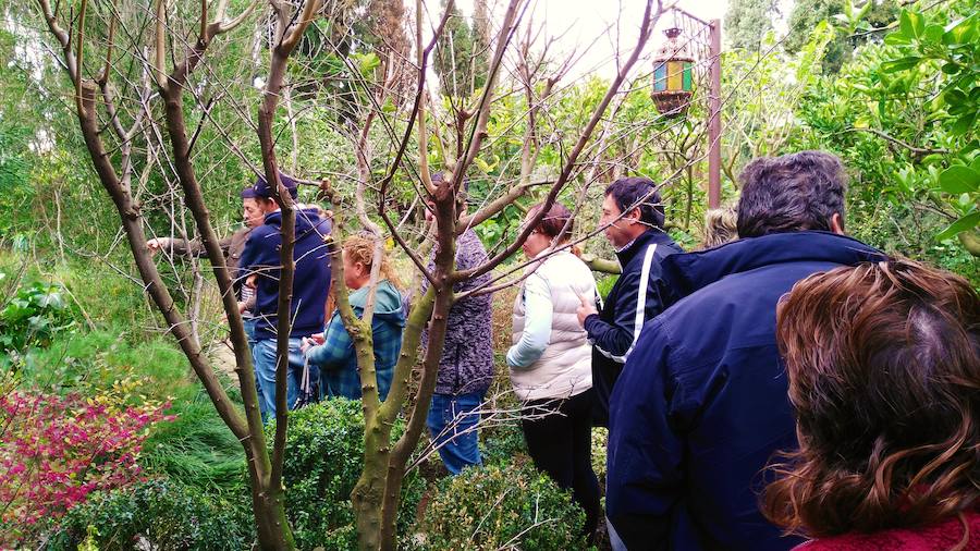 Los visitantes realizaron un recorrido por los 2.500 metros de jardín. 