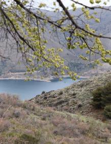 Imagen secundaria 2 - Entrecort de buey, aguacates rellenos y detalle de una de las paradas de la ruta.