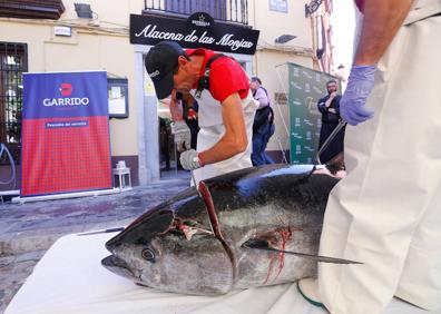 Imagen secundaria 1 - Momentos del ronqueo. 