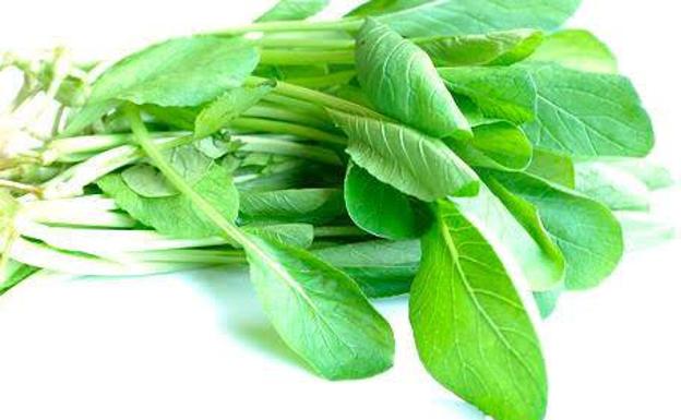 Álvaro nos descubre el origen de la mostaza.