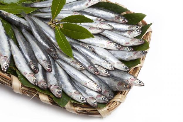 Anchoas del Norte y boquerones del Sur, el aperitivo perfecto en verano