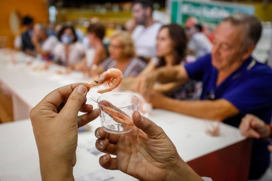Degustación de los productos de Sabor Granada
