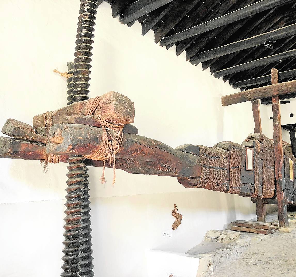 Excepcional muestra de prensa aceitera en la almazara de Las Laerillas.