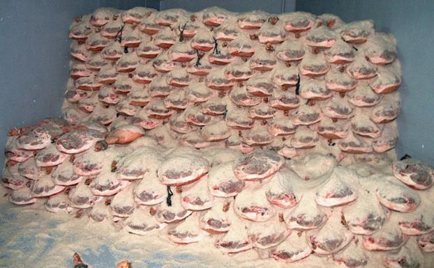 Proceso de salado de los auténticos jamones serranos de Trevélez. 