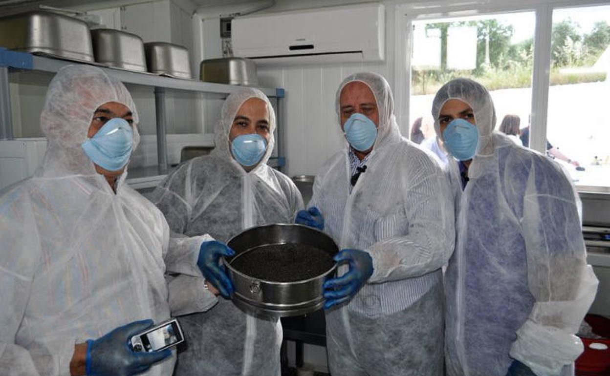 Luz, color y sabor por descubrir en la provincia de Granada