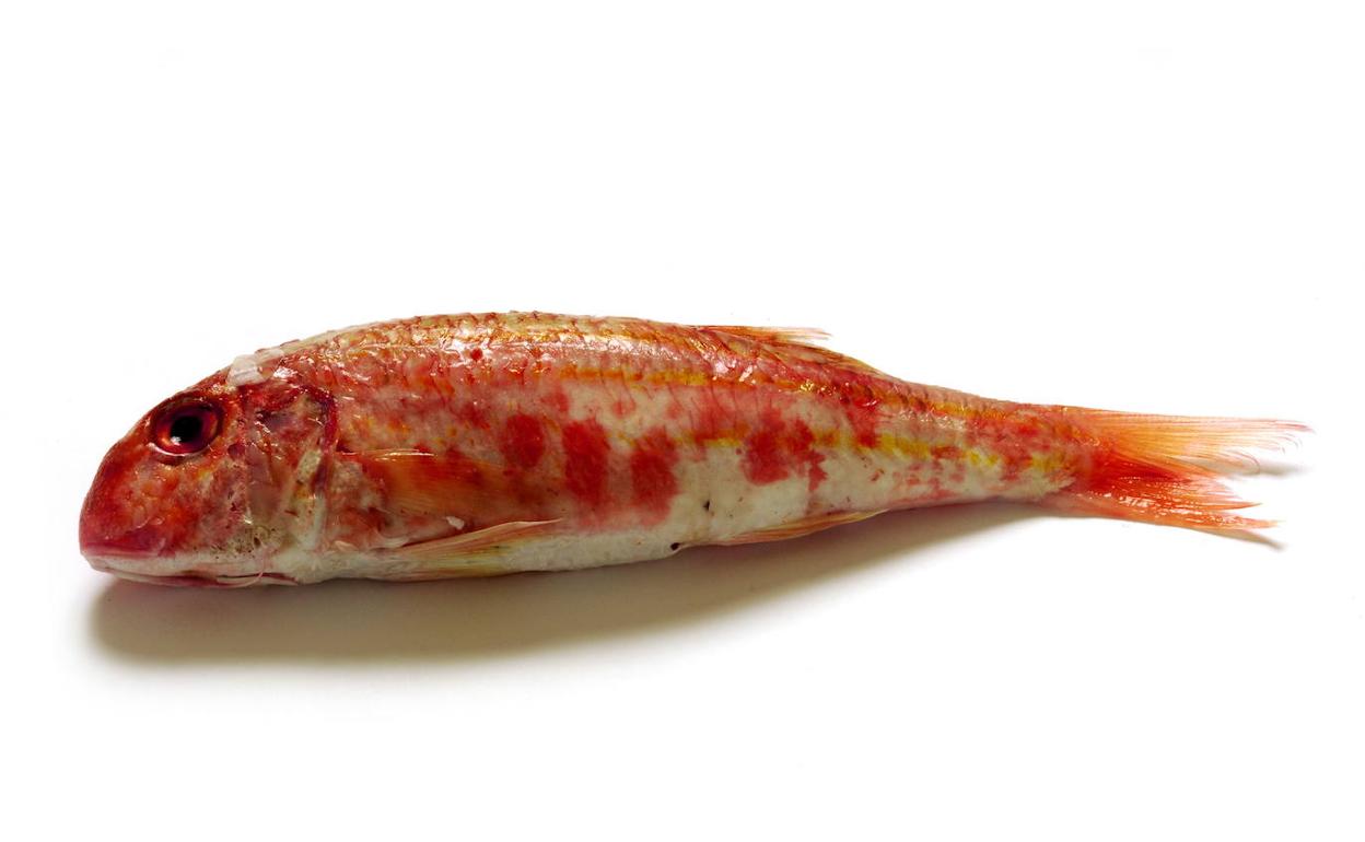 Un hígado de salmonete
