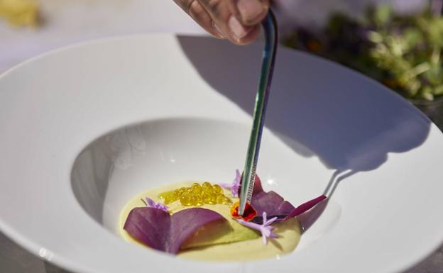 Imagen principal - Flores comestibles, brotes y micro verduras