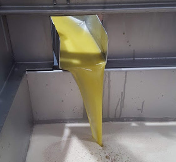 Oro verde de la Bética