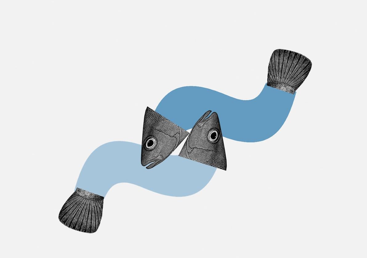 El mar y nosotros