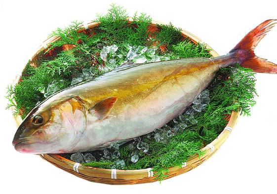 Pez limón, un chute de Omega 3