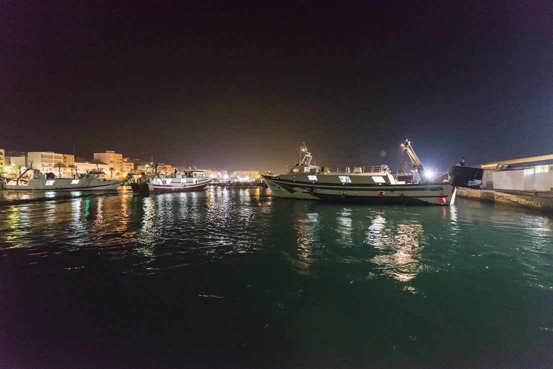 Fotos: Así se pesca la gamba roja de Garrucha