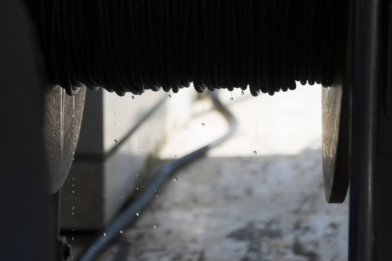 Fotos: Así se pesca la gamba roja de Garrucha