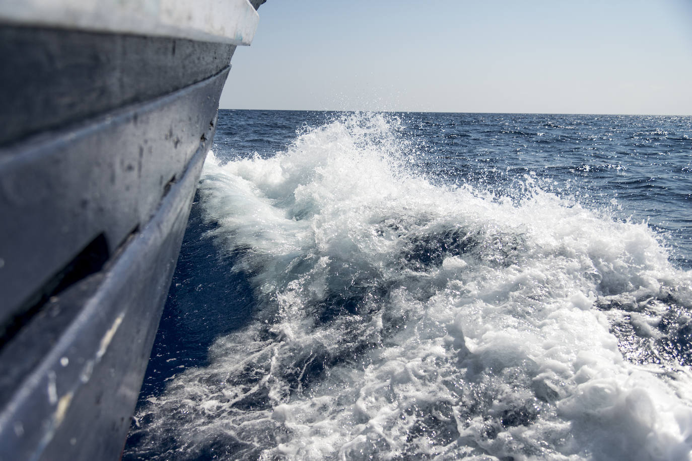 Fotos: Así se pesca la gamba roja de Garrucha