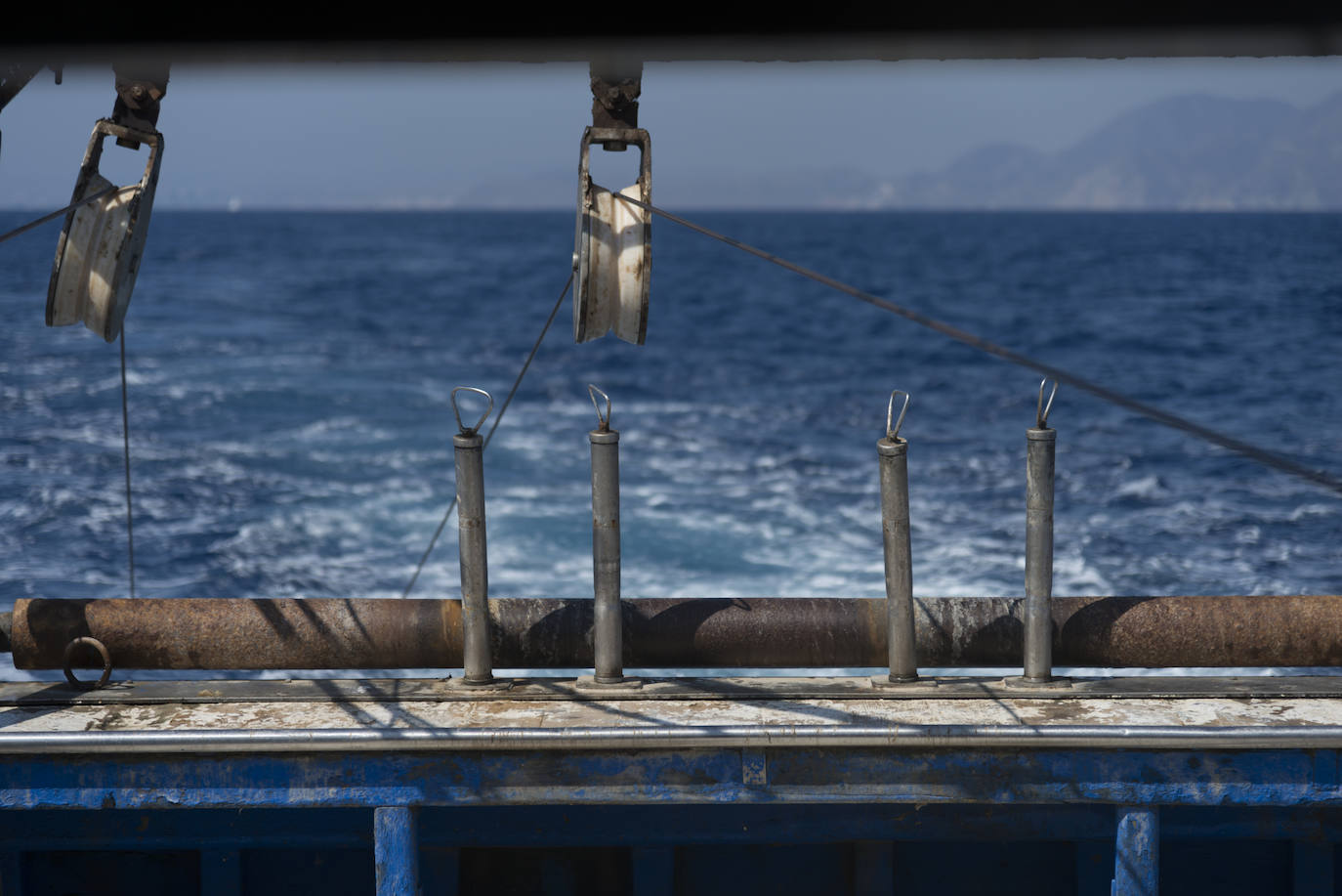 Fotos: Así se pesca la gamba roja de Garrucha