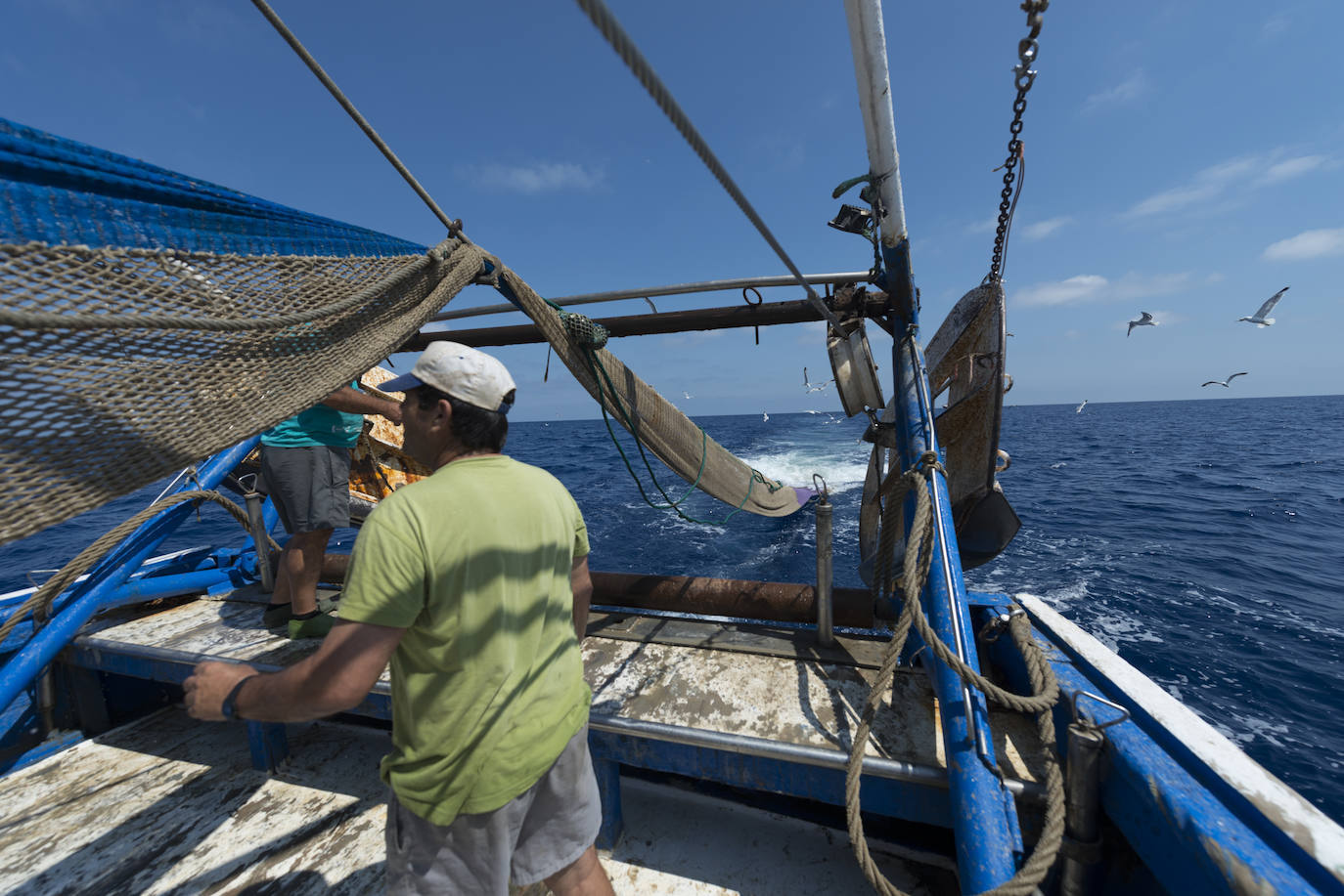 Fotos: Así se pesca la gamba roja de Garrucha