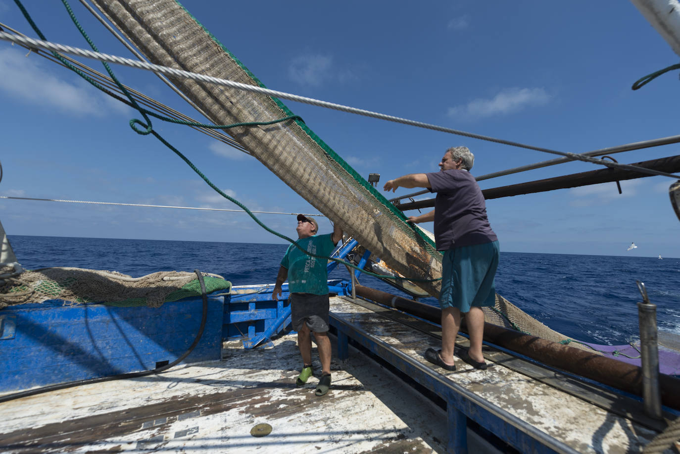 Fotos: Así se pesca la gamba roja de Garrucha