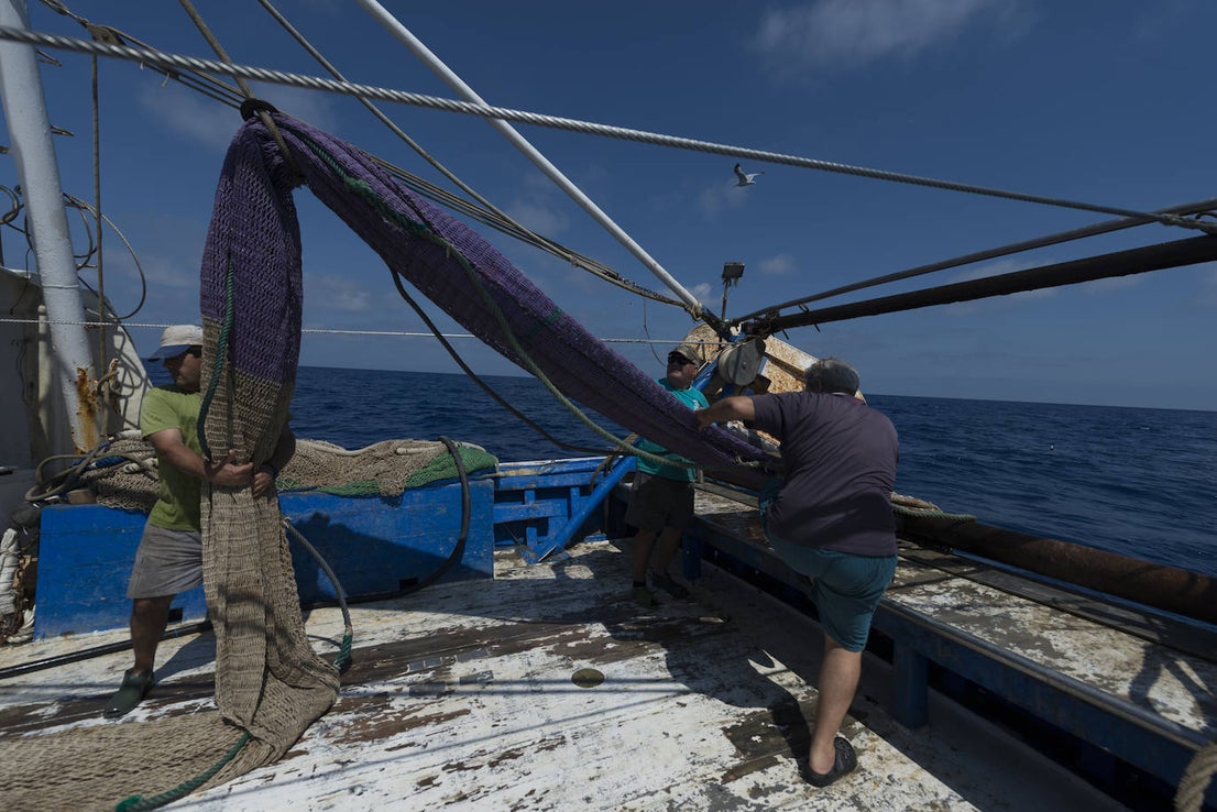 Fotos: Así se pesca la gamba roja de Garrucha