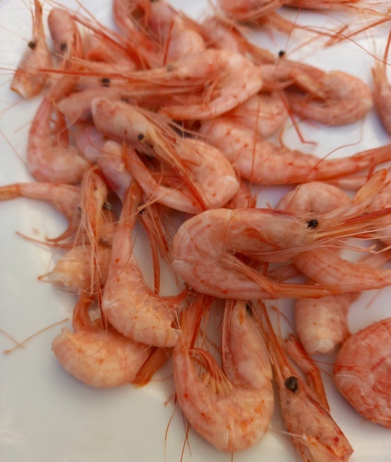Quisquillas auténticas del Katena de Motril.