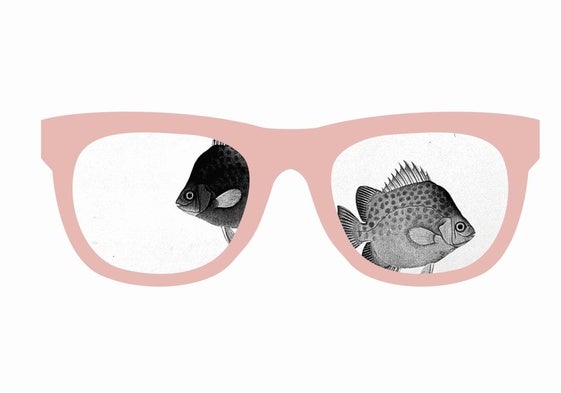 Carloforte y los Pomata (II)