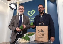 Los Guájares inaugura este viernes la I Feria del Aguacate