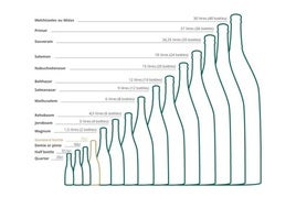 Tipos y tamaños de las botellas.