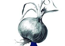 Euskadi, Zalla y las cebollas