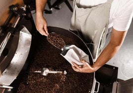 Mejor café de especialidad: descubre la pasión y calidad que hay tras una taza de café