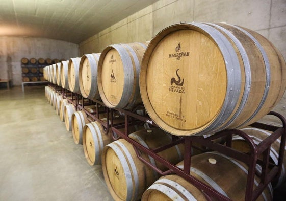 Bodega de Señorío de Nevada