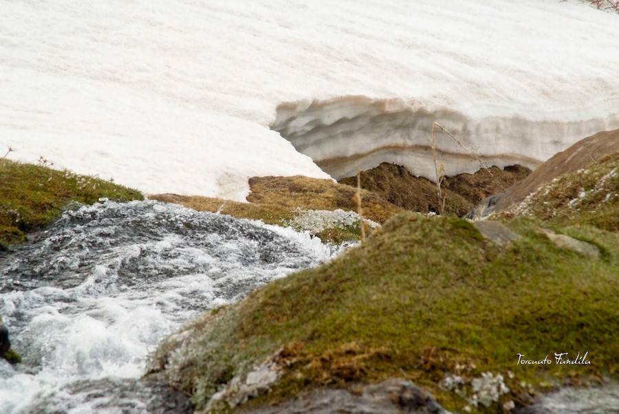 Las precipitaciones de los últimos meses han permitido que el deshielo en el Alhorí sea un gran espectáculo de la naturaleza en este último tramo de la primavera. 