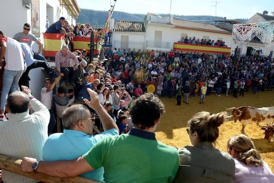 La localidad celebra el primero de los encierros previstos en sus fiestas en honor a la Virgen del Rosario y el Cristo de la Misericordia