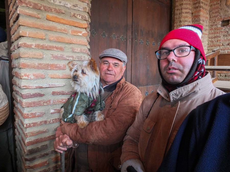 La tradicional romería a la ermita de San Antón quedó pasada por agua este domingo. No obstante el santo bendijo a los animales que llegaron al lugar. Quienes se acercaron a la era en la que se encuentra la ermita puideron, al menos, componer la tradicional cuña de San Antón con los productos típicos de la época.