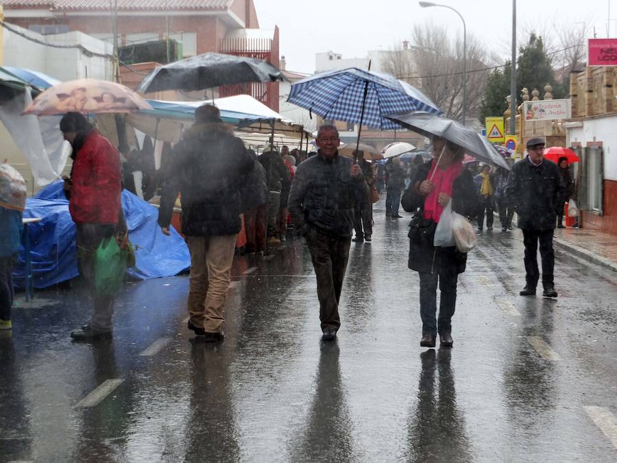 La tradicional romería a la ermita de San Antón quedó pasada por agua este domingo. No obstante el santo bendijo a los animales que llegaron al lugar. Quienes se acercaron a la era en la que se encuentra la ermita puideron, al menos, componer la tradicional cuña de San Antón con los productos típicos de la época.