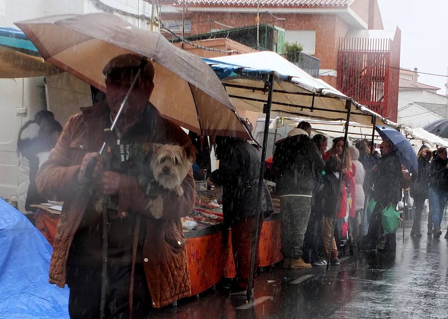 La tradicional romería a la ermita de San Antón quedó pasada por agua este domingo. No obstante el santo bendijo a los animales que llegaron al lugar. Quienes se acercaron a la era en la que se encuentra la ermita puideron, al menos, componer la tradicional cuña de San Antón con los productos típicos de la época.