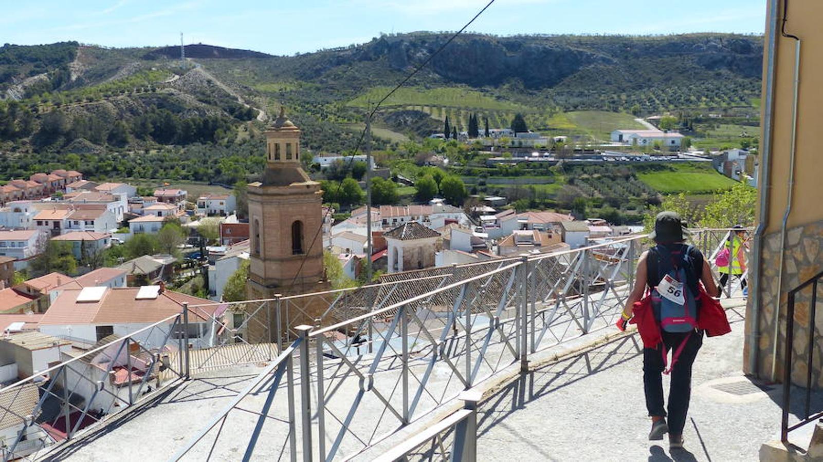 El accitano José Puertas (Bewor ADA Guadix) logró alzarse con el triunfo en la prueba reina, el trail sobre una distancia de 25 kilómetros. Le acompañaron en el podio de la prueba Alberto Martínez Buges y José Antonio Ruiz González (CD Bicha). Graci Iañez (Triatarfe SEAT Vigilsa) fue la ganadora femenina. Le acompañaron en el podio Patricia Vidal (Comunidad Vidasana) y Noemí Anguita (Sobre 2 Ruedas Bike).