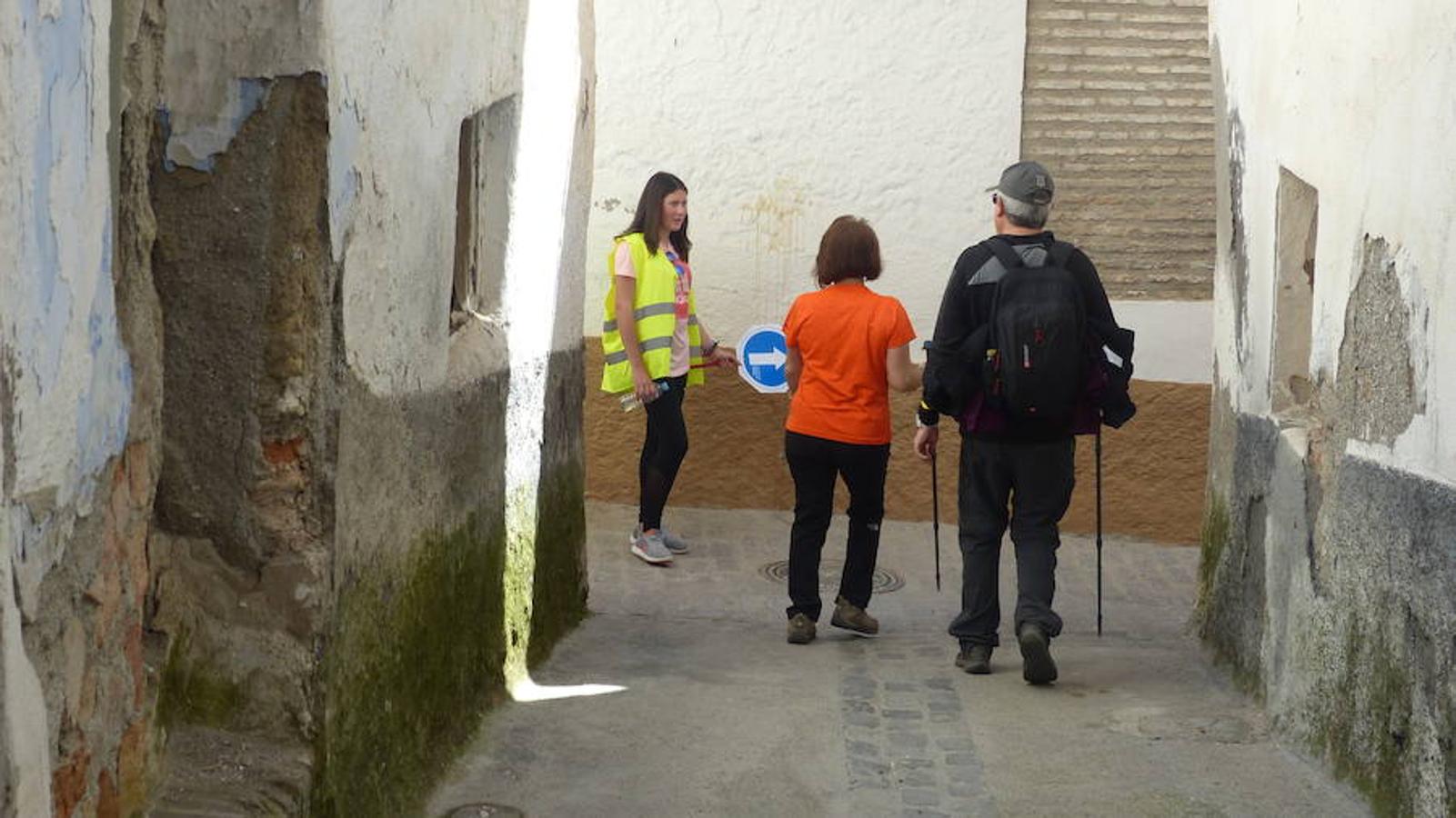 El accitano José Puertas (Bewor ADA Guadix) logró alzarse con el triunfo en la prueba reina, el trail sobre una distancia de 25 kilómetros. Le acompañaron en el podio de la prueba Alberto Martínez Buges y José Antonio Ruiz González (CD Bicha). Graci Iañez (Triatarfe SEAT Vigilsa) fue la ganadora femenina. Le acompañaron en el podio Patricia Vidal (Comunidad Vidasana) y Noemí Anguita (Sobre 2 Ruedas Bike).