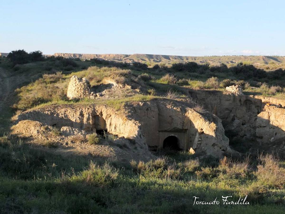 El primero de los actos en honor al patrón de Guadix, la romería de Face Retama, se celebró este sábado 11 de mayo. Como es habitual, la romería contó con un gran número de devotos. Uno de los momentos más emotivos es la procesión de las antorchas.