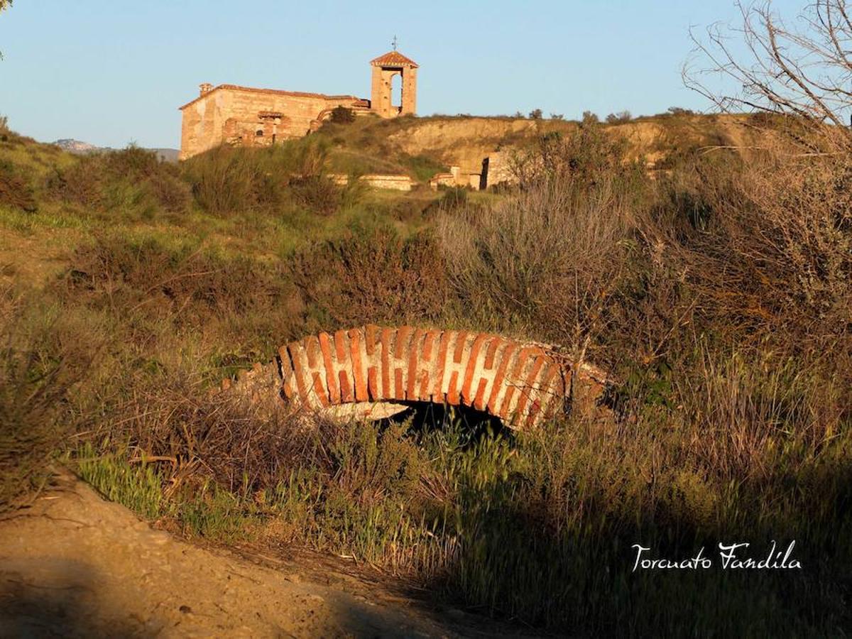 El primero de los actos en honor al patrón de Guadix, la romería de Face Retama, se celebró este sábado 11 de mayo. Como es habitual, la romería contó con un gran número de devotos. Uno de los momentos más emotivos es la procesión de las antorchas.