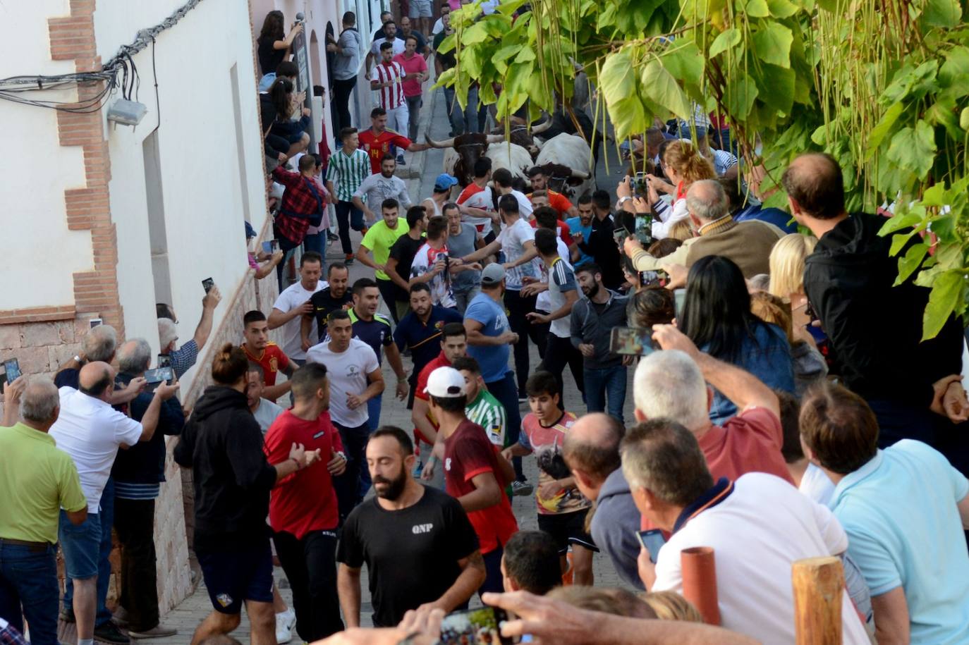 La localidad de Gor ha celebrado el primero de los tres encierros taurinos de las fiestas de San Cayetano. Se han corrido cuatro novillos de la ganadería Astolfi, que esta tarde serán lidiados por los primeros cuatro novilleros que este año aspiran al prestigioso trofeo Almendra de Plata. El encierro ha discurrido con normalidad y no se han tenido que lamentar incidentes de importancia. A juicio de algunos aficionados el paso de los novillos ha sido lento. 