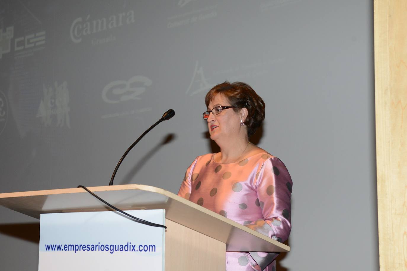 Entrega de los premios de la gala de la Asociación Intersectorial. 