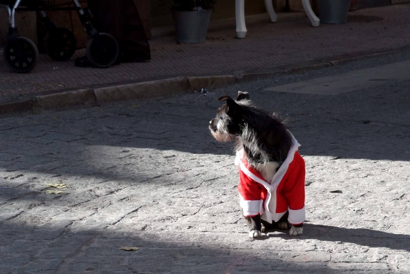 La decoración de cuento anima las ventas navideñas. 