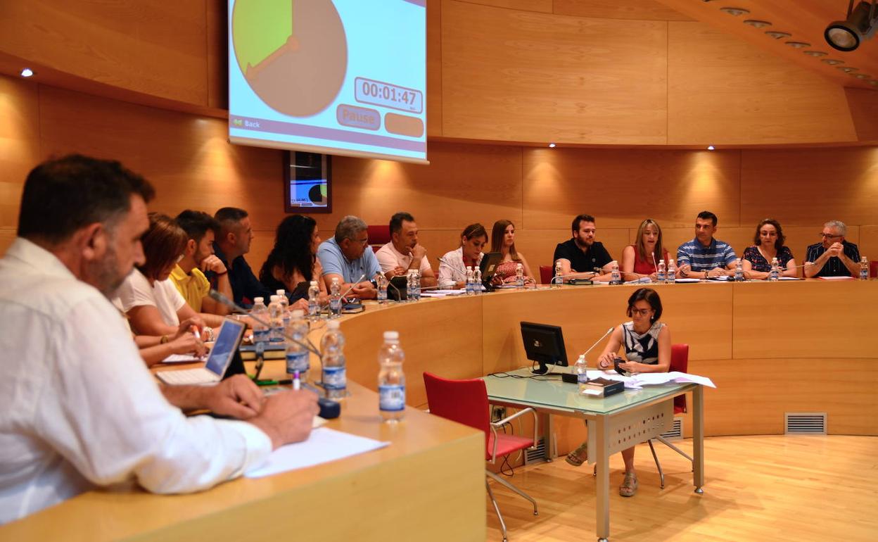 Pleno de organización municipal de Huétor Vega.