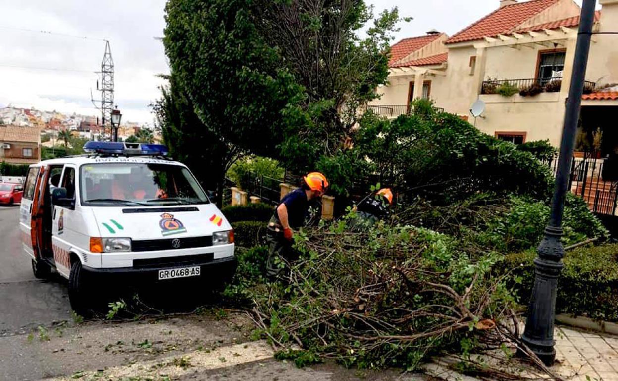 Árboles partidos en Huétor Vega, un rescate en La Zubia y caos en el suministro eléctrico de Ogíjares