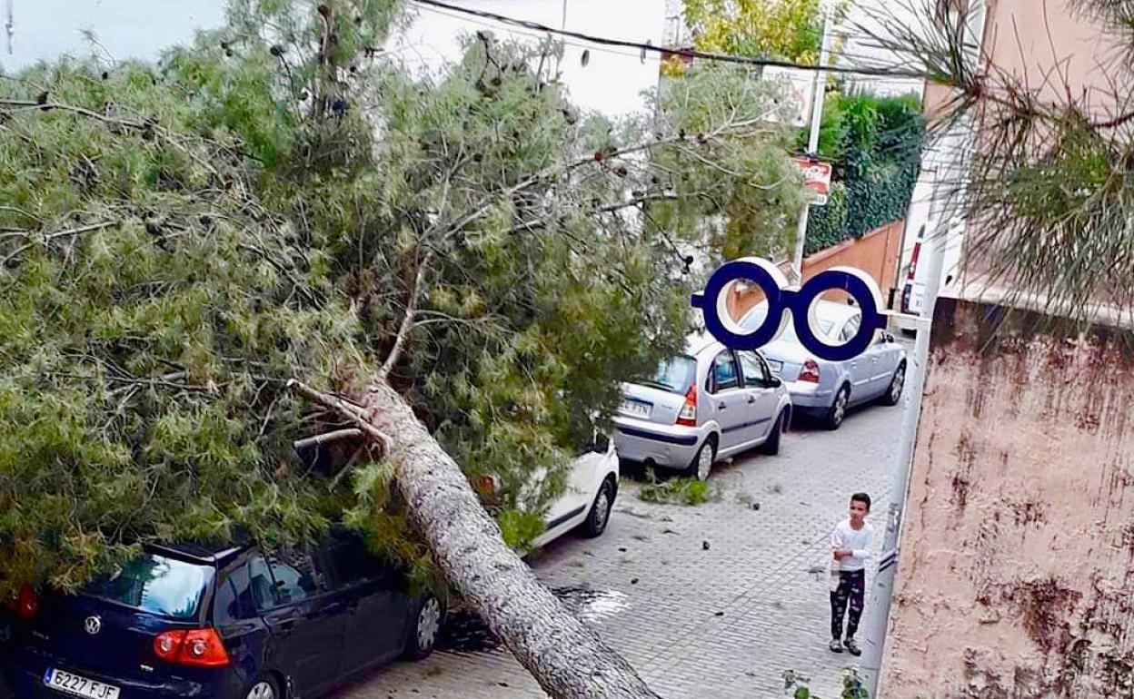 Un pino de 15 metros cae sobre dos coches en el centro de Huétor Vega