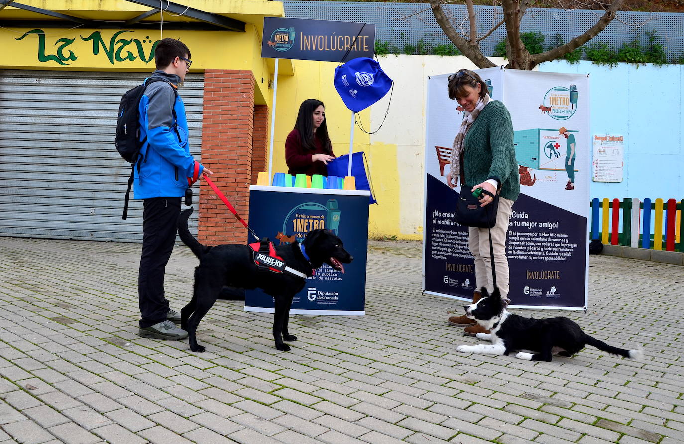 Fotos: Las mascotas de Huétor Vega dan el salto por un muicipio más limpio