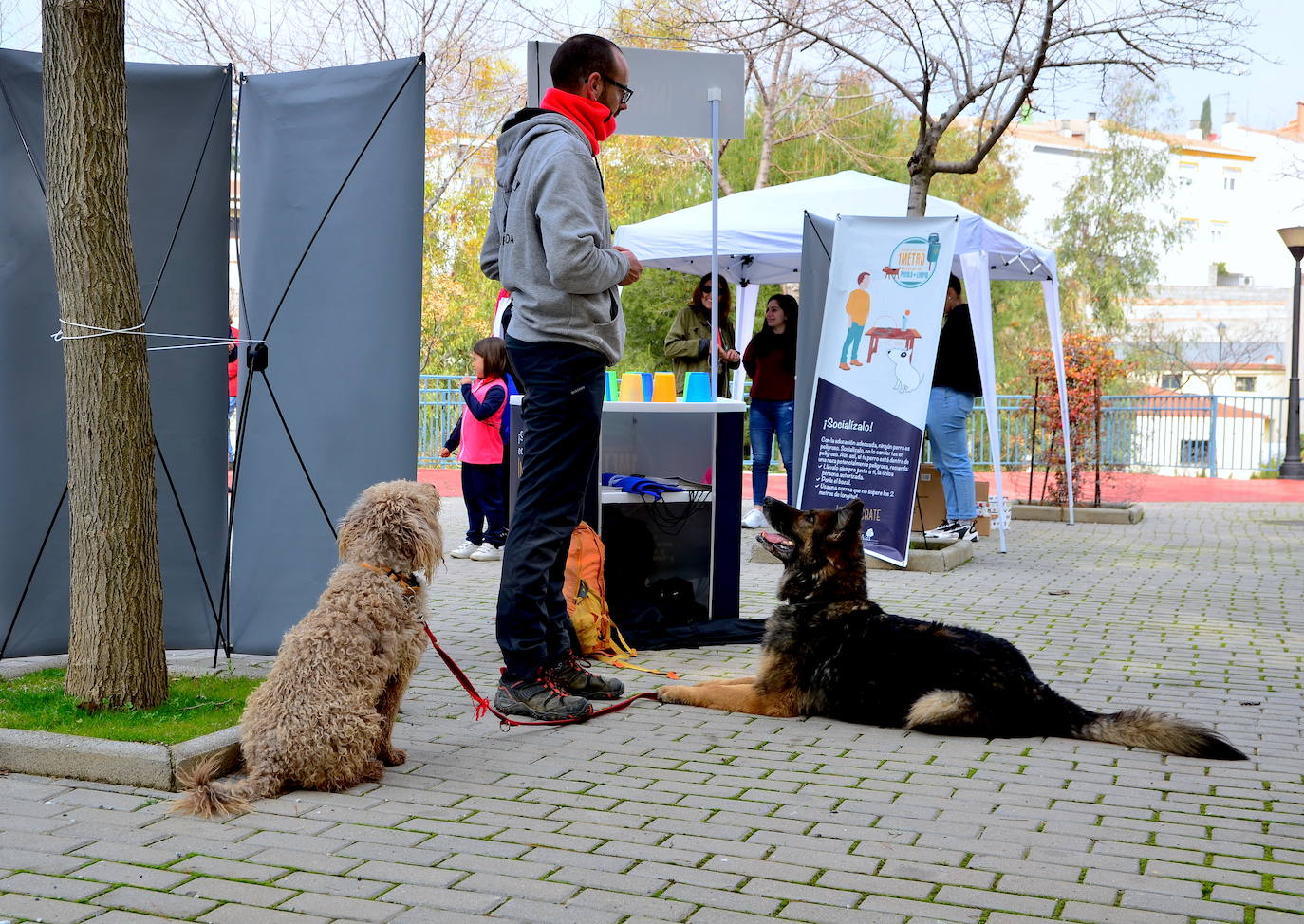 Fotos: Las mascotas de Huétor Vega dan el salto por un muicipio más limpio