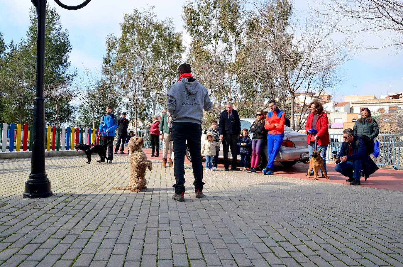 Fotos: Las mascotas de Huétor Vega dan el salto por un muicipio más limpio