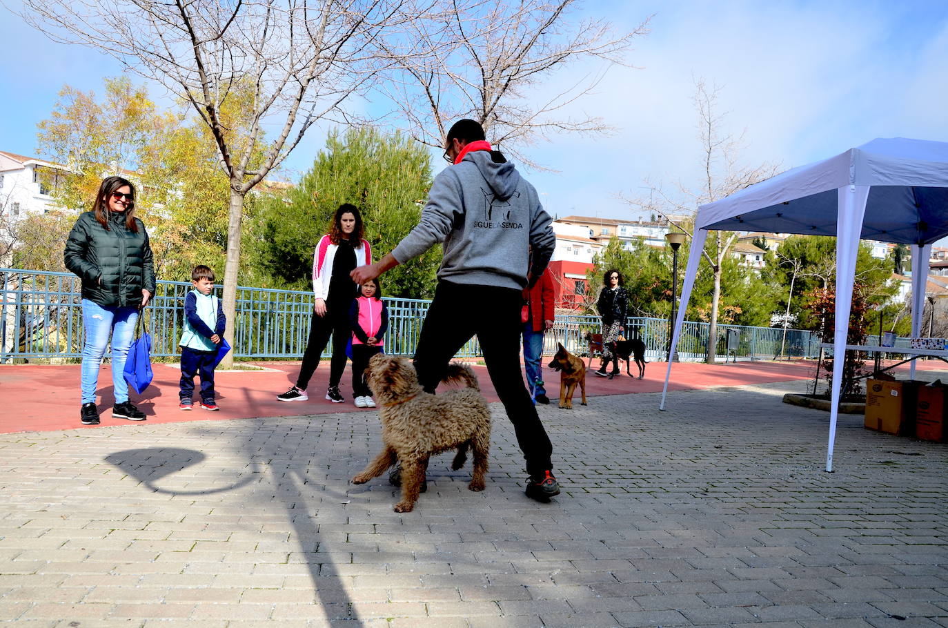 Fotos: Las mascotas de Huétor Vega dan el salto por un muicipio más limpio