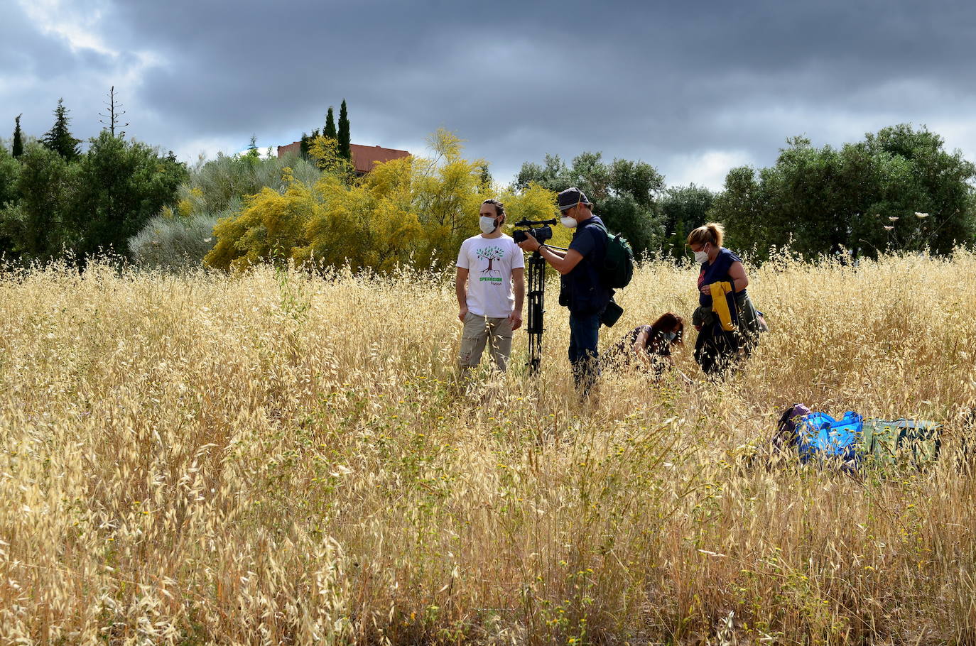 Fotos: Operación: llenar de encinas el Camino de los Neveros