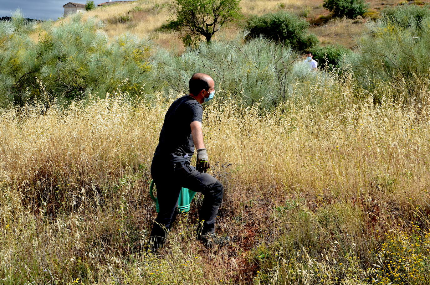 Fotos: Operación: llenar de encinas el Camino de los Neveros